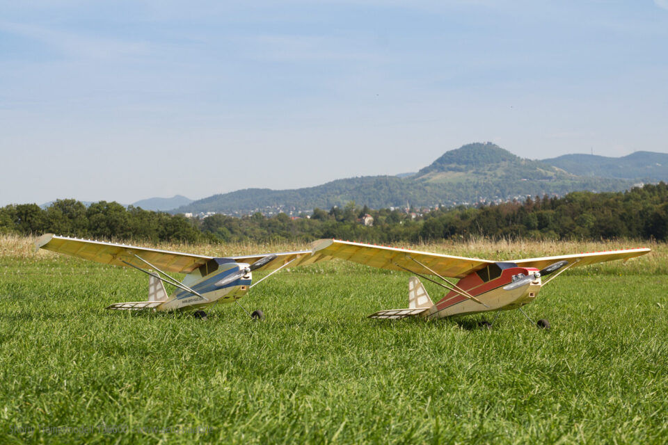 Thumbnail: Two Aeronaut Shortys on the grass field