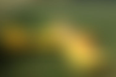 SIG MidStar 40 Aloittelevalle rakentajalle?