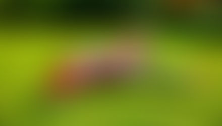 Taivaan valtias: Black Horse Viper Jet MK2 (BH175A) – Voimaa ja tyyliä 120mm koossa