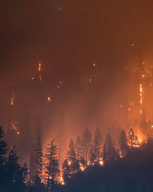 Wildfires