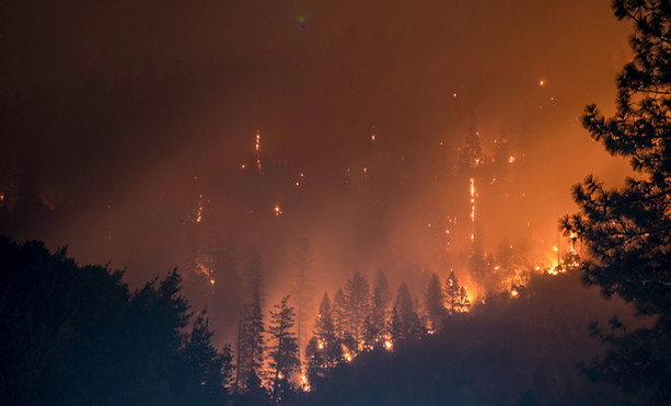 Wildfires