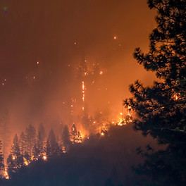 Incêndios-florestais-fogo-risco-previsão-porttour-de-mos