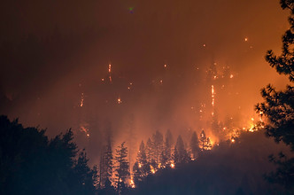 Wildfires