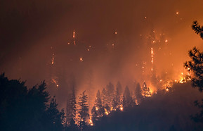 Feux de forêt
