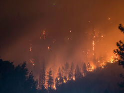 Tax Relief for Washington State Wildfire Victims