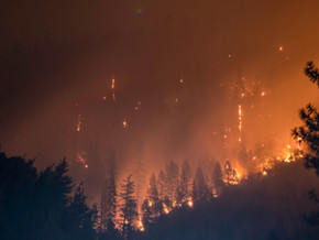 NL sends firefighters to Ontario to fight forest fires