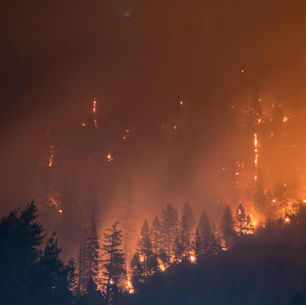 Smoke Taint: What to Know About Wildfires and Wine
