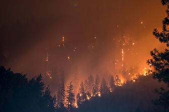Wildfires