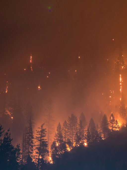 March 30th, 2023- First Quarter Cancer Moving into Leo