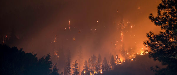 Wildfires