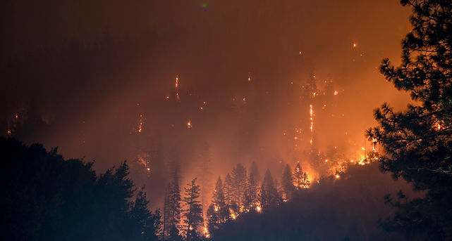 MEJOR Technologies Featured in Recent Article of DutchCowboys Highlighting Our Global Impact