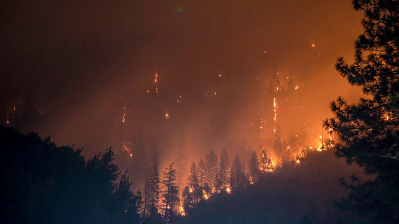 RESTRICTIONS TEMPORAIRES POUR LA PREVENTION DES FEUX DE FORET