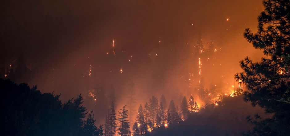 Wildfires