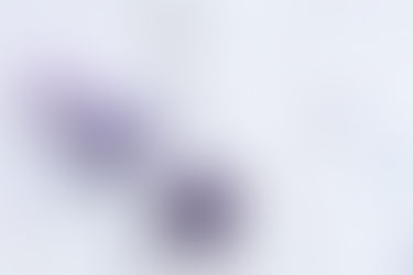 10-week series of morning Yoga 自分を知り、周りを知る*