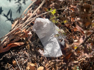 第36回静岡プロギング活動報告