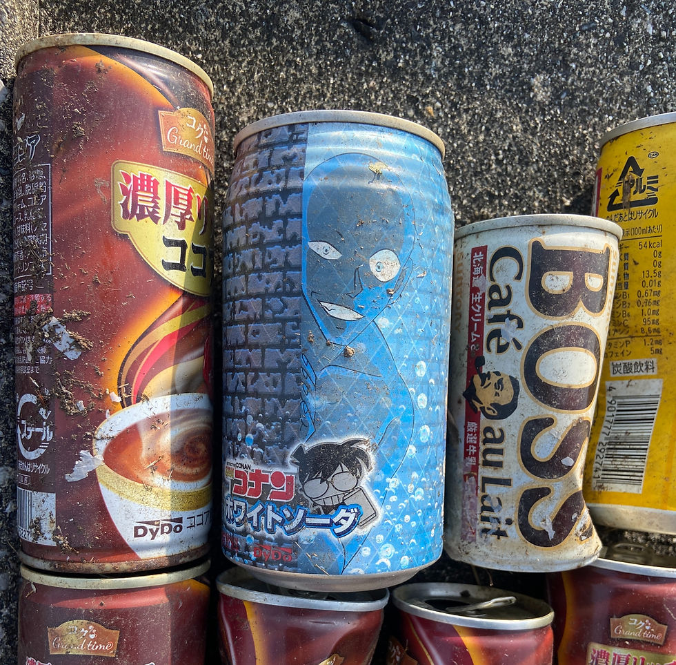 第43回掛川プロギング