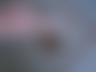 Uma Semana em Porto Velho!!