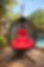 Black Egg Chair Nest Shape with Red Cushion next to a pool