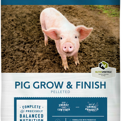 Blue Seal-Home Fresh-Swine-Pig Grow & Finish_50#.png
