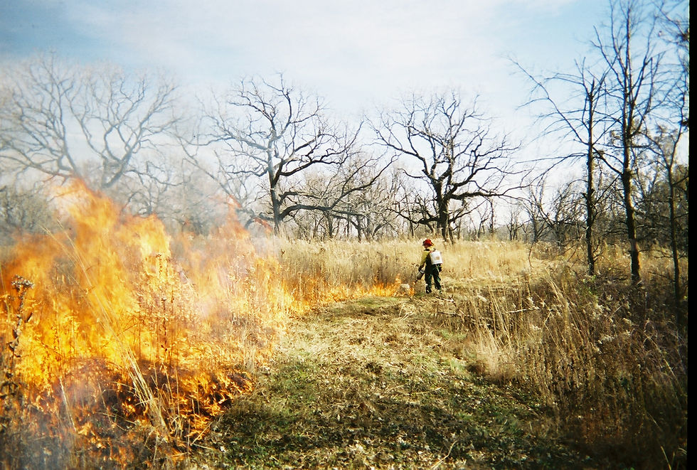 Fall 05 Fire FHR SV.jpg