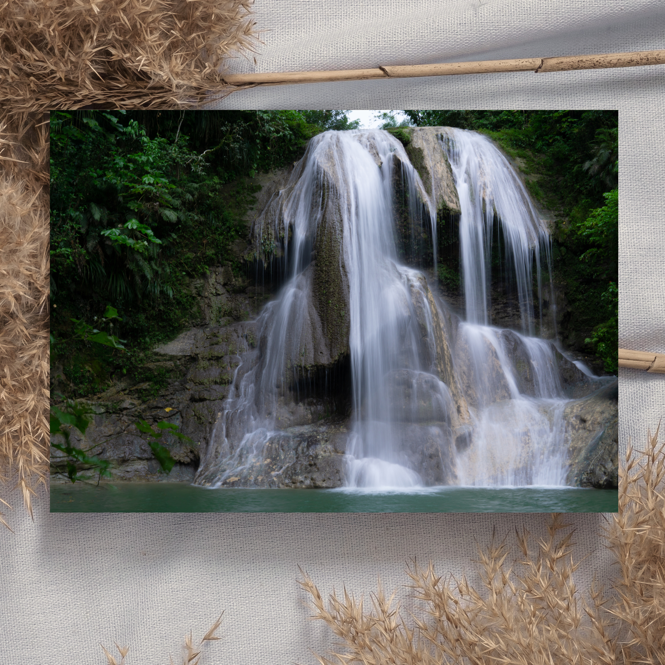 "Gozalandia" Photo Postcard