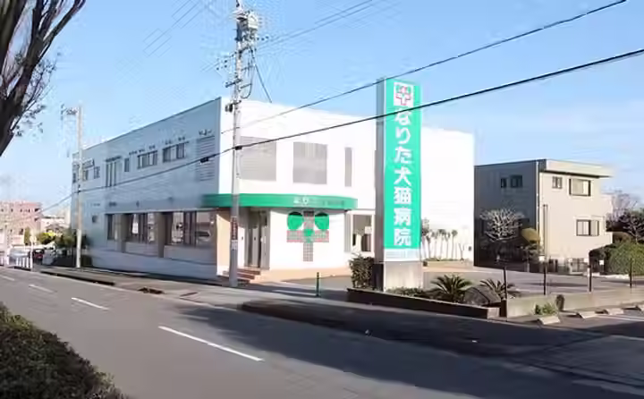 なりた犬猫病院