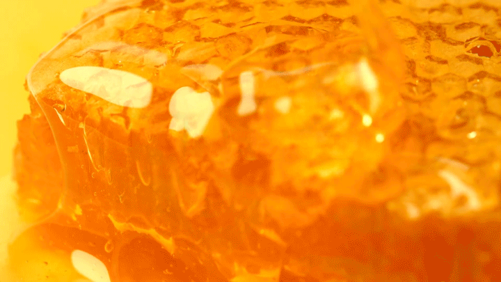 8b85bd73313149.5c0603c1613c1