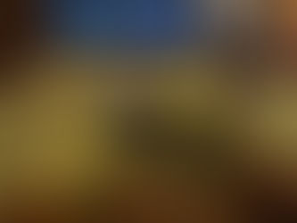 Nyhet – ultraljud i hemmet