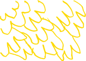 Asset 4.png