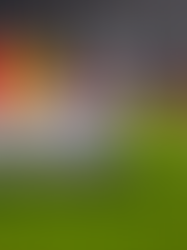 Liverpool's injury list, suspensions and availability