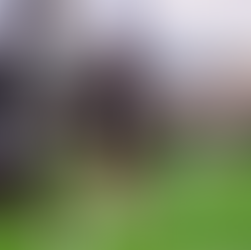 Gravenberch, Isak and Wirtz set to feature against Leeds