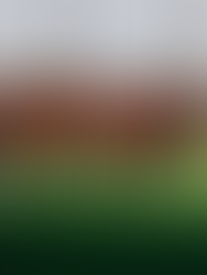 Liverpool v Burnley: Team news