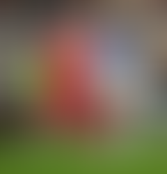 Liverpool are contemplating a loan deal for Ben Doak, with Leicester City and Southampton expressing interest.