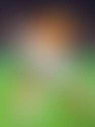 Cody Gakpo scored to help the Netherlands to a 4-0 win over Hungary in Saturday’s UEFA Nations League action.