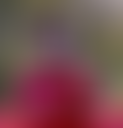 Rhys Williams to leave Liverpool