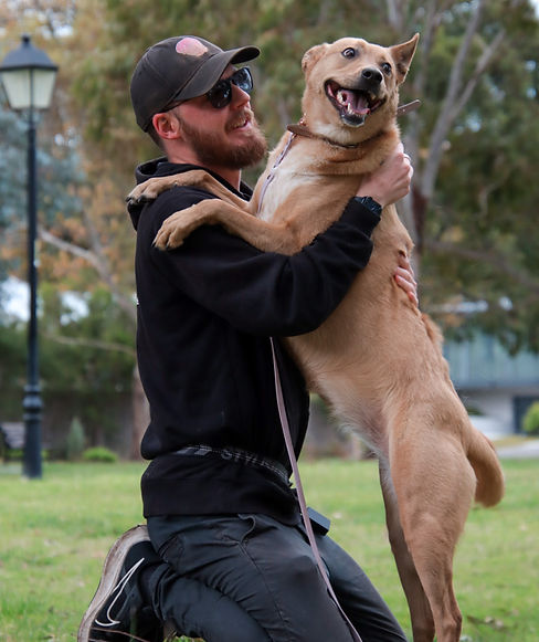 Calming Canines Dog Training and Behaviour