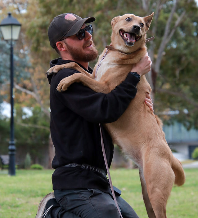Calming Canines Dog Training and Behaviour