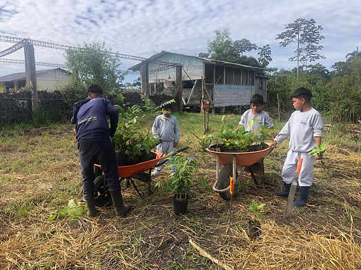 Getting ready to plant trees.jpeg