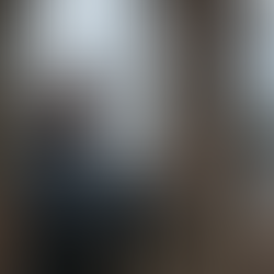 כריתת עצים לבנייה: דרישות היתר בנייה