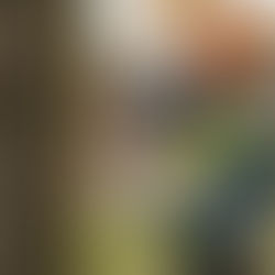 כיצד לקבל היתר בנייה עם עצים קיימים