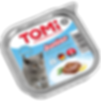 טומי חתול גורים.png