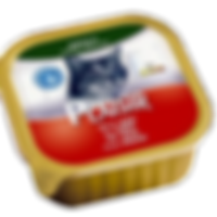 פלזיר חתול בקר.png