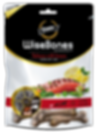 וישבון סלמון.png