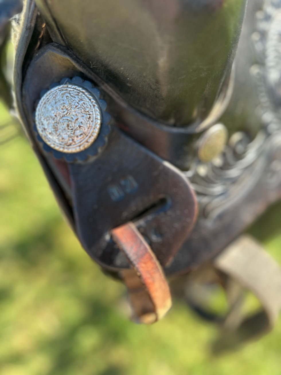 Thumbnail: trail saddle