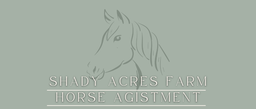 Shady Acres (22).png