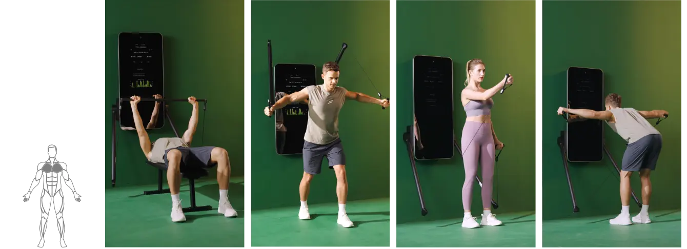 Ein Mann und eine Frau die verschiedene SPlan Model Y Workouts für die Brustmuskulatur zeigen.