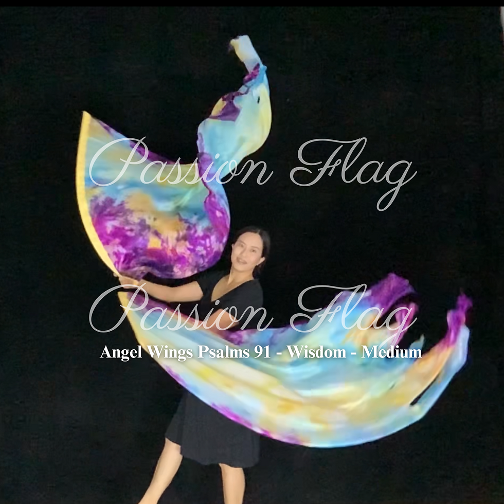 Passion Flag Angel Wings Psalms 91 Wisdom Single Layer silk flags