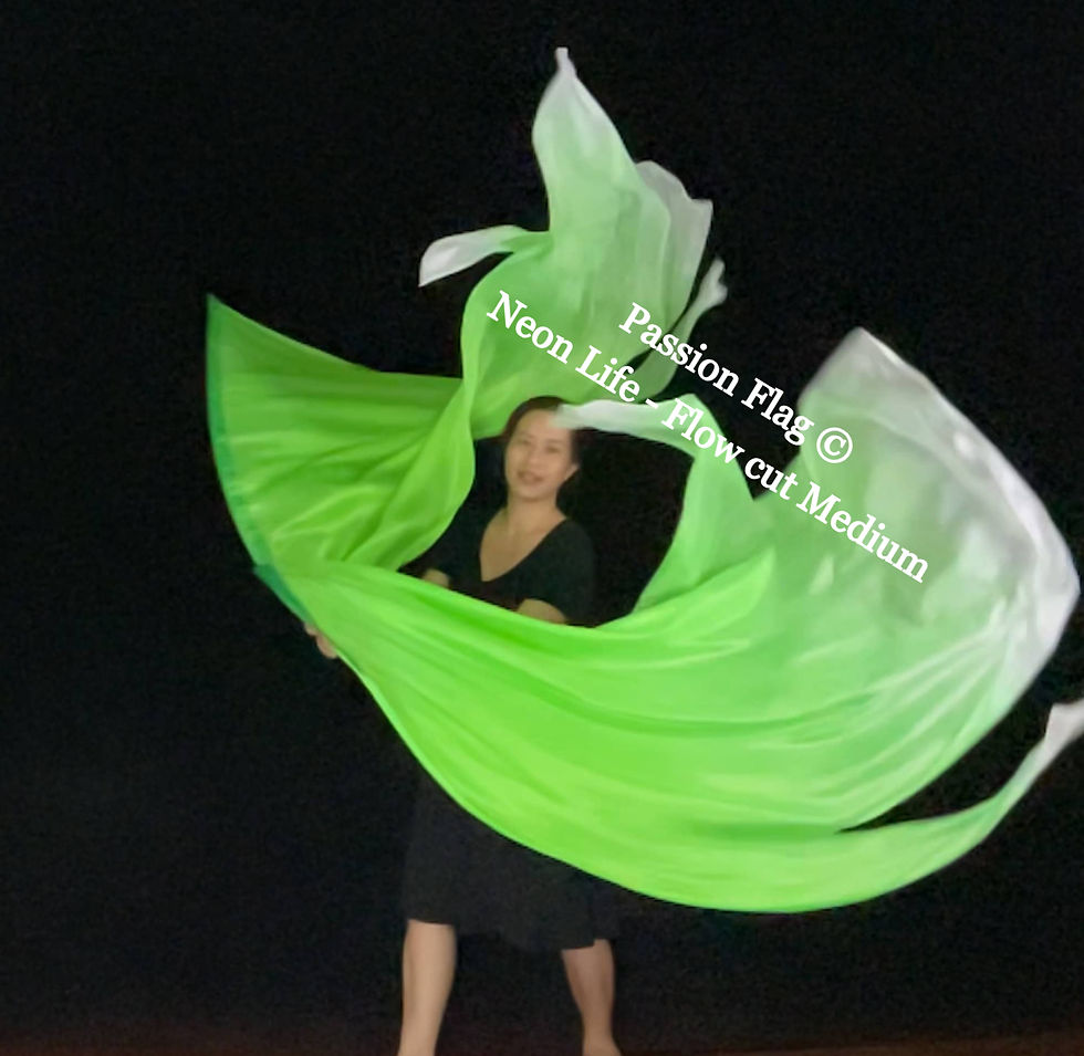 Thumbnail: Passion Flag – Neon Life - Hand painted silk praise and worship flags and banners Praise Dance