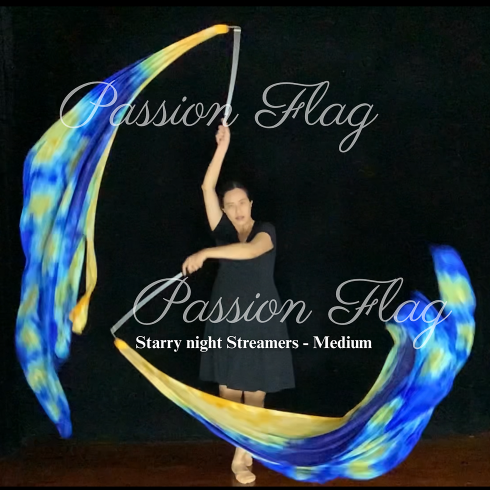 Thumbnail: Passion Flag - Starry Night - Single Layered Silk Hand dyed streamers worship dance praise dance flags and banners