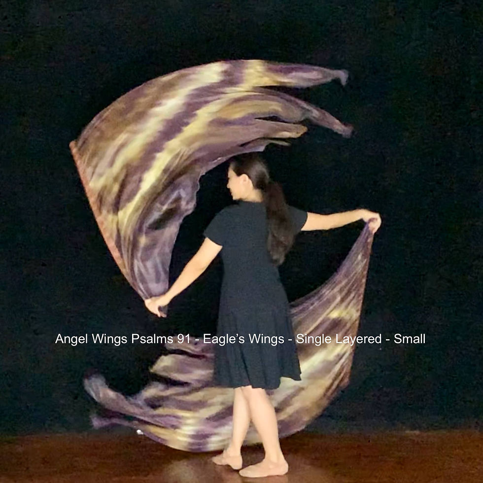 Thumbnail: Passion Flag Angel Wings Psalms 91 Eagle's Wings Single Layer silk flags